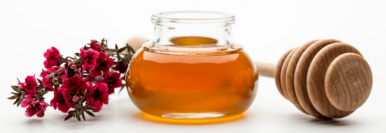 manuka honey bush branch, honey, honey spoon