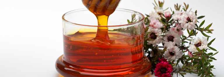 manuke honey with manuka honey flowers