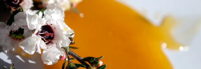 manuka bush flower with manuka honey