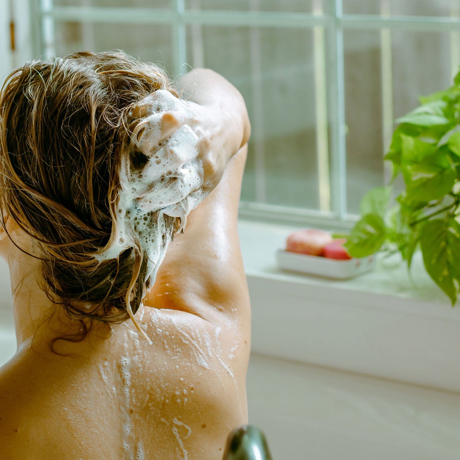 Sulfate-Free Shampoo Bar